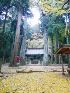 写真９　青玉神社　小